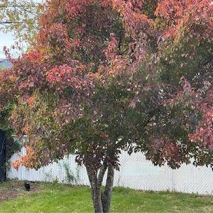 Meet your Posher, Renata